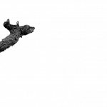 Weingut Gosch
